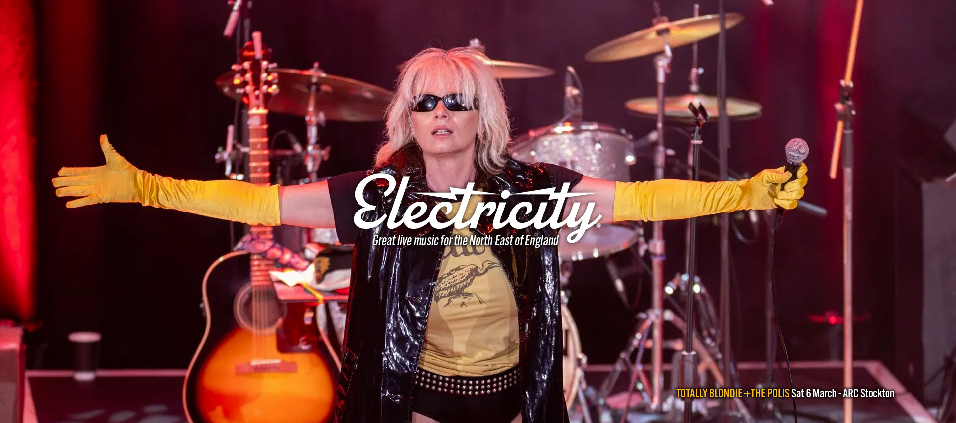 blondie web banner 1