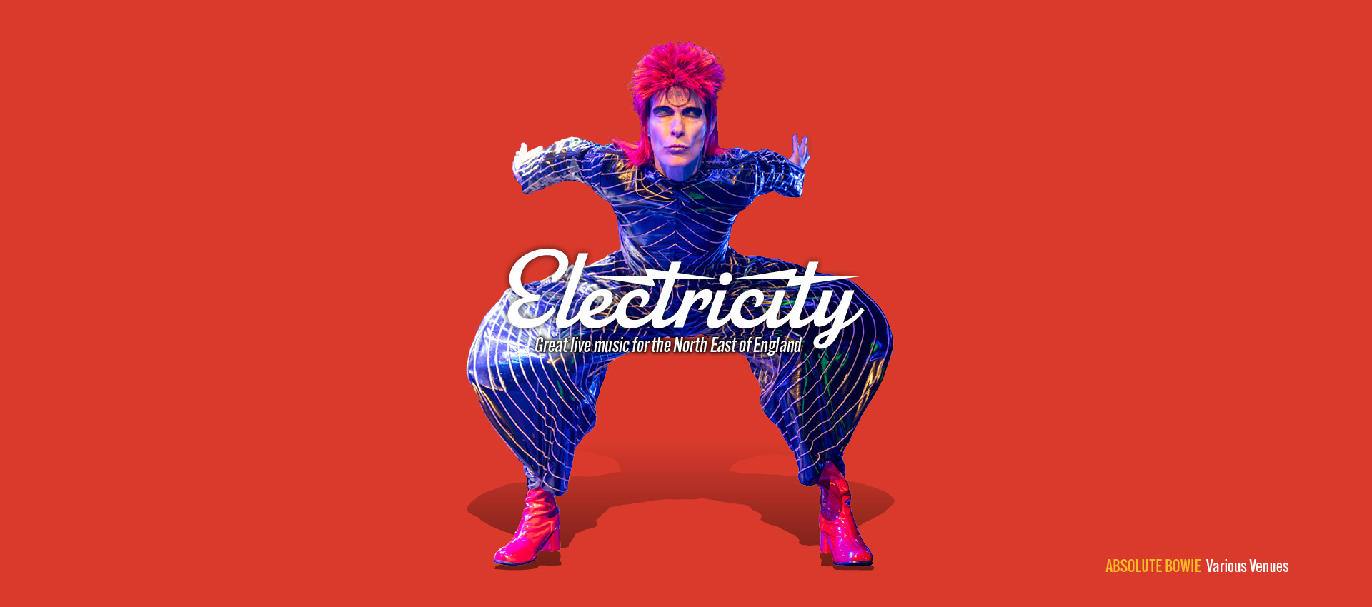 bowie web banner2